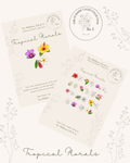 The Little Wilds Sticker Cards - Tropical Florals