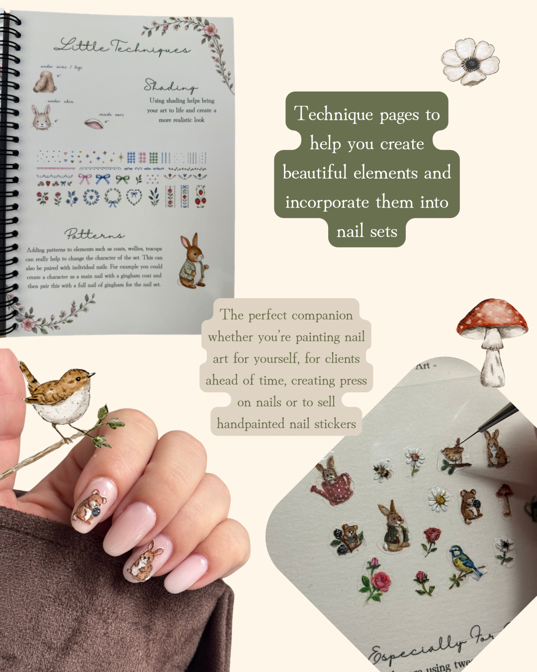 The Petal and Paint Sticker Workbook - In The Cottage Garden