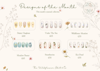 Design Inspiration Boards - Botanicals