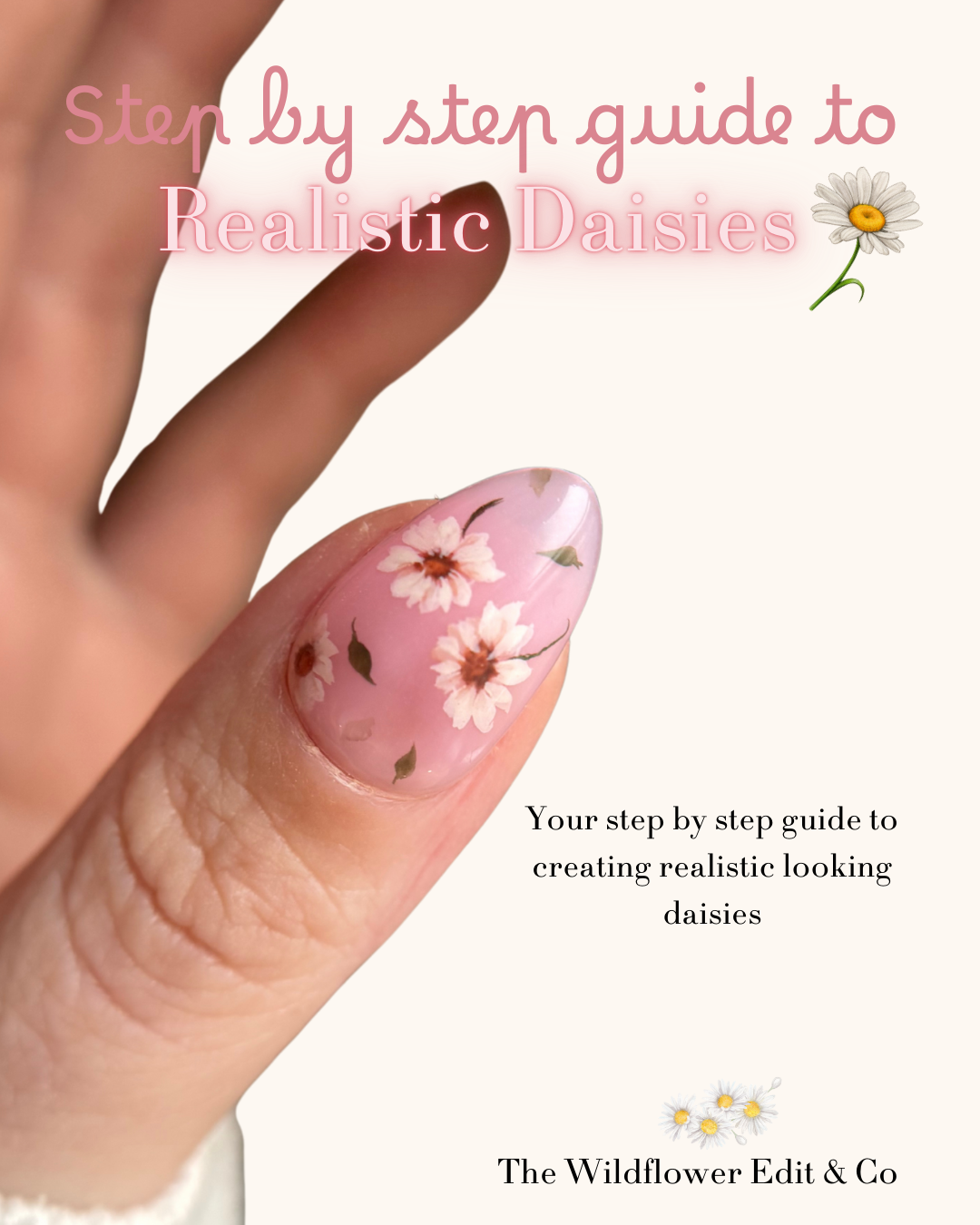Step By Step Guide To Painting Realistic Daisies